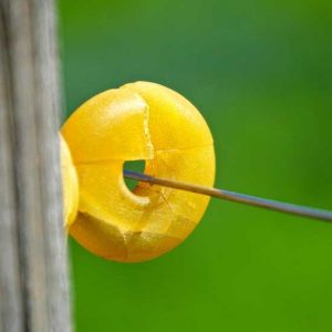 Deter Animals With an Electric Fence Image